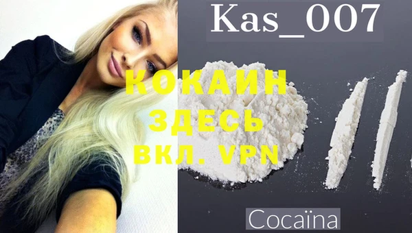 дурь Горняк