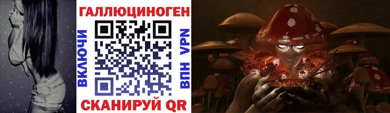 Купить закладки Кингисепп Галлюциногенные грибы MAGIC MUSHROOMS