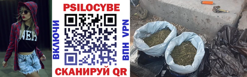 Галлюциногенные грибы GOLDEN TEACHER Кингисепп