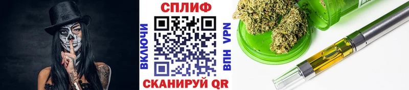 Купить  Кингисепп  Бошки Шишки сатива 